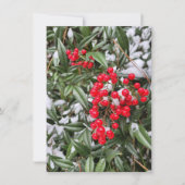 冬のベリすてきークリスマスシーズンのグリーティングカード (正面)