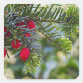 冬のベリー スクエアシール