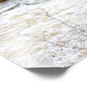 冬のペンシルバニア黒熊 フォトプリント            (角)