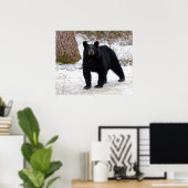 冬のペンシルバニア黒熊 ポスター (ホームオフィス)