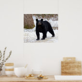 冬のペンシルバニア黒熊 ポスター (キッチン)