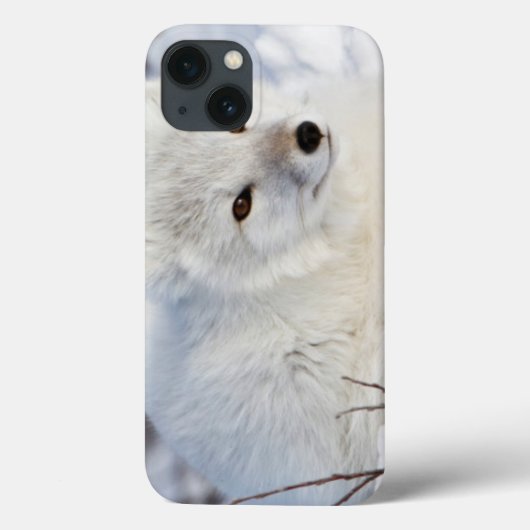 冬のホッキョクギツネ Case-Mate iPhoneケース (裏面)