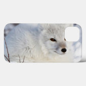 冬のホッキョクギツネ Case-Mate iPhoneケース (裏面 (横))
