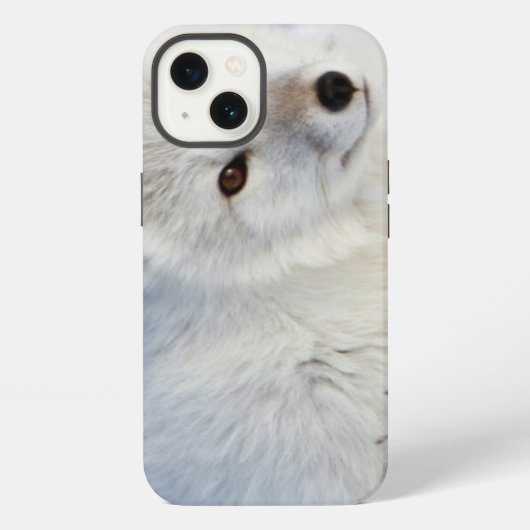 冬のホッキョクギツネ iPhoneケース (裏面)