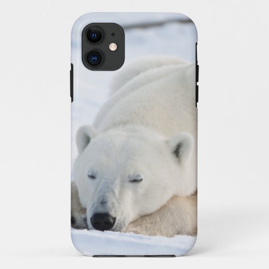 冬のホッキョクグマ Case-Mate iPhoneケース (裏面)
