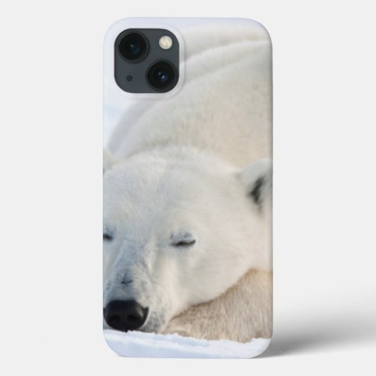 冬のホッキョクグマ Case-Mate iPhoneケース (裏面)