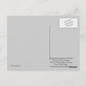 冬のホワイトウォーターミズーリ葉書 ポストカード (裏面)