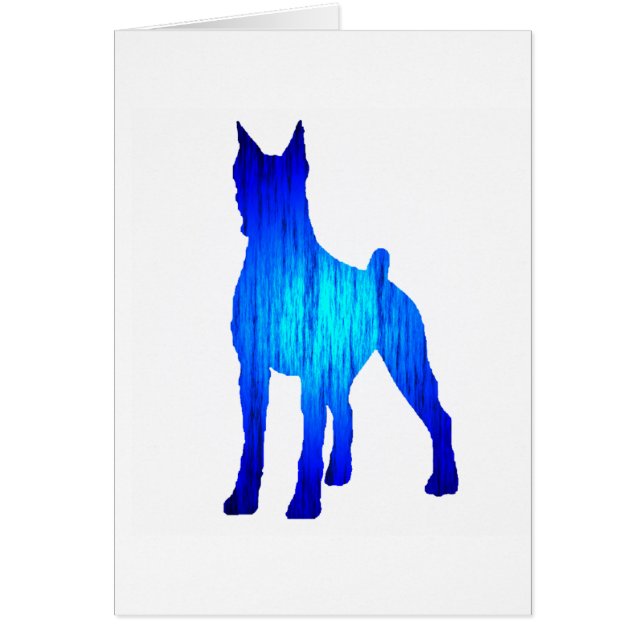 冬のボクサー (正面)