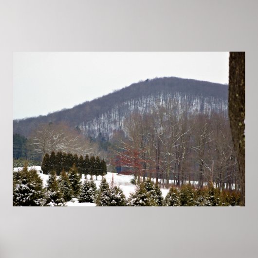 冬のマウンテンビューポスター ポスター (正面)