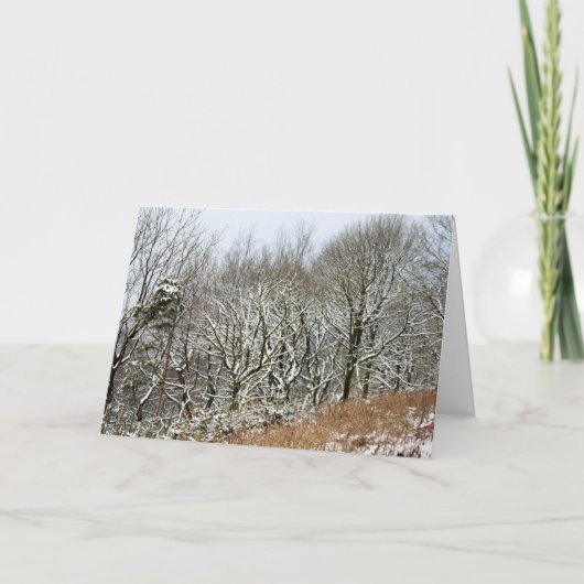 冬のマクレスフィールドフォレスト カード (正面)