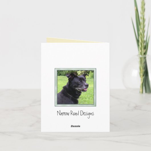 冬のマツ日の出の写真撮影のノート カード (裏面)