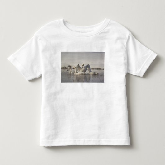 冬のマディソン川のトランペタースワン トドラーTシャツ (正面)