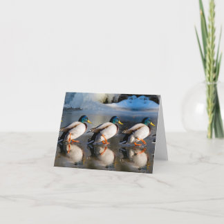 冬のマラード折り畳みノートカード ノートカード