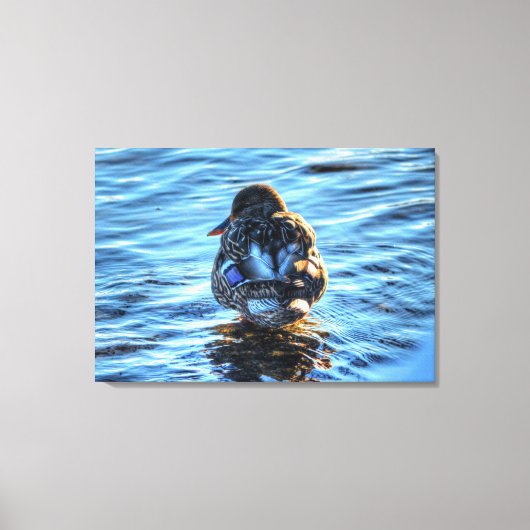 冬のマラード素晴らしアート野生生物写真 キャンバスプリント (正面)