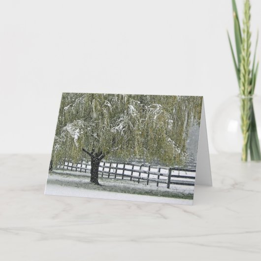 冬のヤナギ シーズンカード (正面)