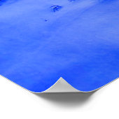 冬のライオン ポスター (角)