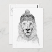 冬のライオン(bw) ポストカード (正面/裏面)
