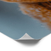 冬のリスのポスター ポスター (角)