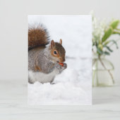 冬のリス (スタンド正面)