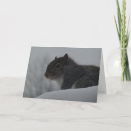 冬のリス カード