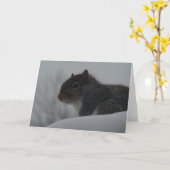 冬のリス カード (黄色い花)