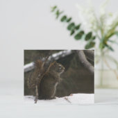 冬のリス ポストカード (スタンド正面)