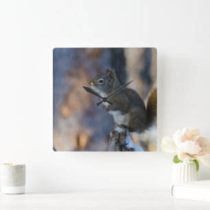 冬のリス、茶色の動物、カナダの写真 スクエア壁時計