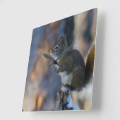 冬のリス、茶色の動物、カナダの写真 スクエア壁時計 (傾斜)