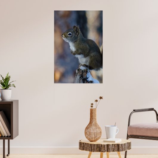 冬のリス、茶色の動物、カナダの写真 ポスター (リビング3)