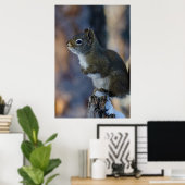 冬のリス、茶色の動物、カナダの写真 ポスター (ホームオフィス)