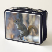 冬のリス、茶色の動物、カナダの写真 メタルランチボックス (裏面)