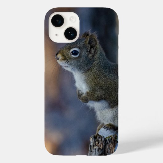 冬のリス、茶色の動物、カナダの写真 Case-Mate iPhoneケース (裏面)