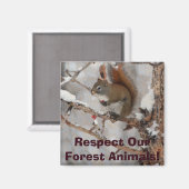 冬のリス、雪&レッドベリークリスマスデザイン マグネット (正面/裏面)