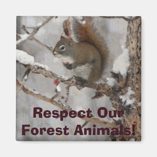 冬のリス、雪&レッドベリークリスマスデザイン マグネット (正面)