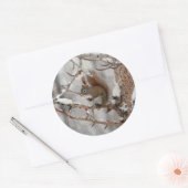 冬のリス、雪&レッドベリークリスマスデザイン ラウンドシール (封筒)