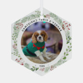 冬のリースペットの写真 ガラスオーナメント (裏面)