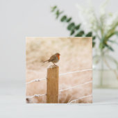 冬のルビー色のずんぐりした鳥 カード (スタンド正面)