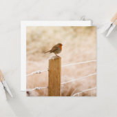 冬のルビー色の小胸鳥 カード (正面/裏面インサイチュ)