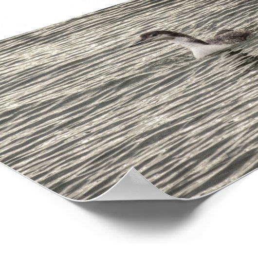 冬のルーンコネソスレイクバーズグレイのアーカイブ ポスター (角)