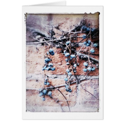 冬のレンガとつる植物のすべての行事空白の内 (正面)