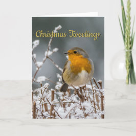 冬のロビンのホワイトクリスマス シーズンカード