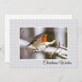 冬のロビンの平らなクリスマスカード シーズンカード (正面/裏面)