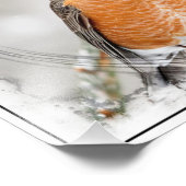 冬のロビン フォトプリント            (角)