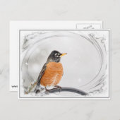 冬のロビン ポストカード (正面/裏面)