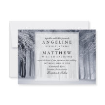 冬のワエレガントンダーランド雪の結婚雪