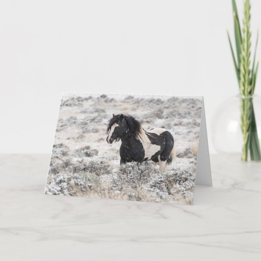 「冬のワシャキー」ホリデーカード カード (正面)