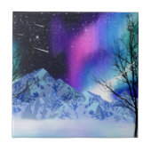 冬のワンダーライツセラミックタイル タイル (正面)