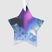 冬のワンダーライト オーナメント (正面)