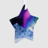 冬のワンダーライト オーナメント (正面)