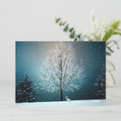 冬のワンダーランドうさぎ (スタンド正面)